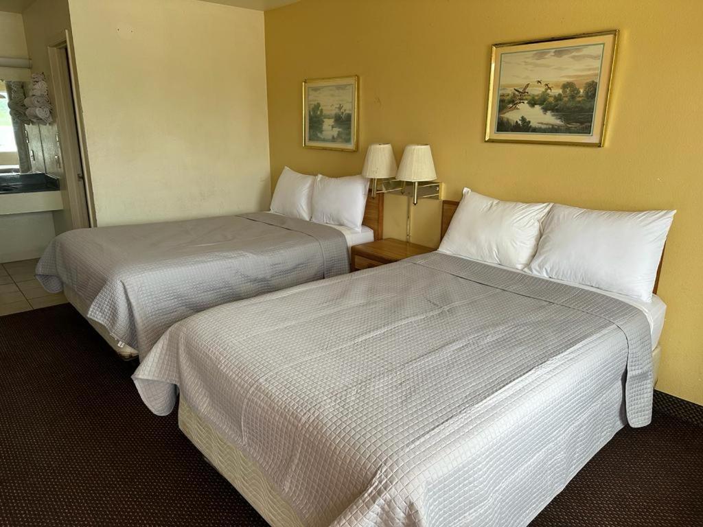 Regency Inn Rockdale Exterior foto